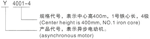 西安泰富西玛Y系列(H355-1000)高压YE2-180L-8三相异步电机型号说明