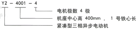 YR系列(H355-1000)高压YE2-180L-8三相异步电机西安西玛电机型号说明